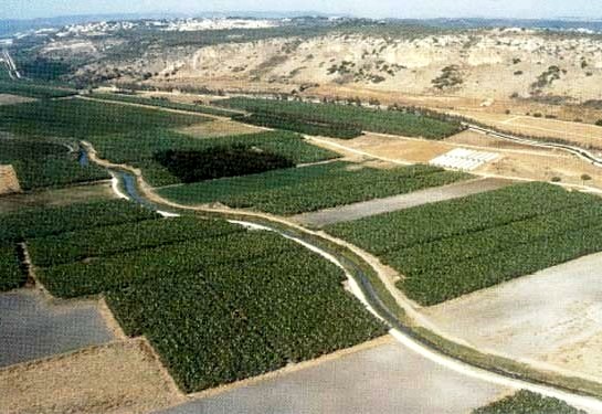 The rich coastal plain between Tel Aviv and Haifa